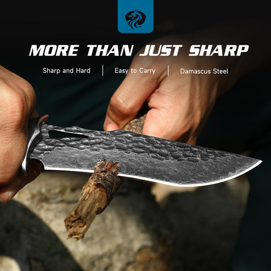 DRACHENADER Damascus Hunting Knife, VG10 67-Layers Damascus Steel, Real Leather Sheath, Wood Handle