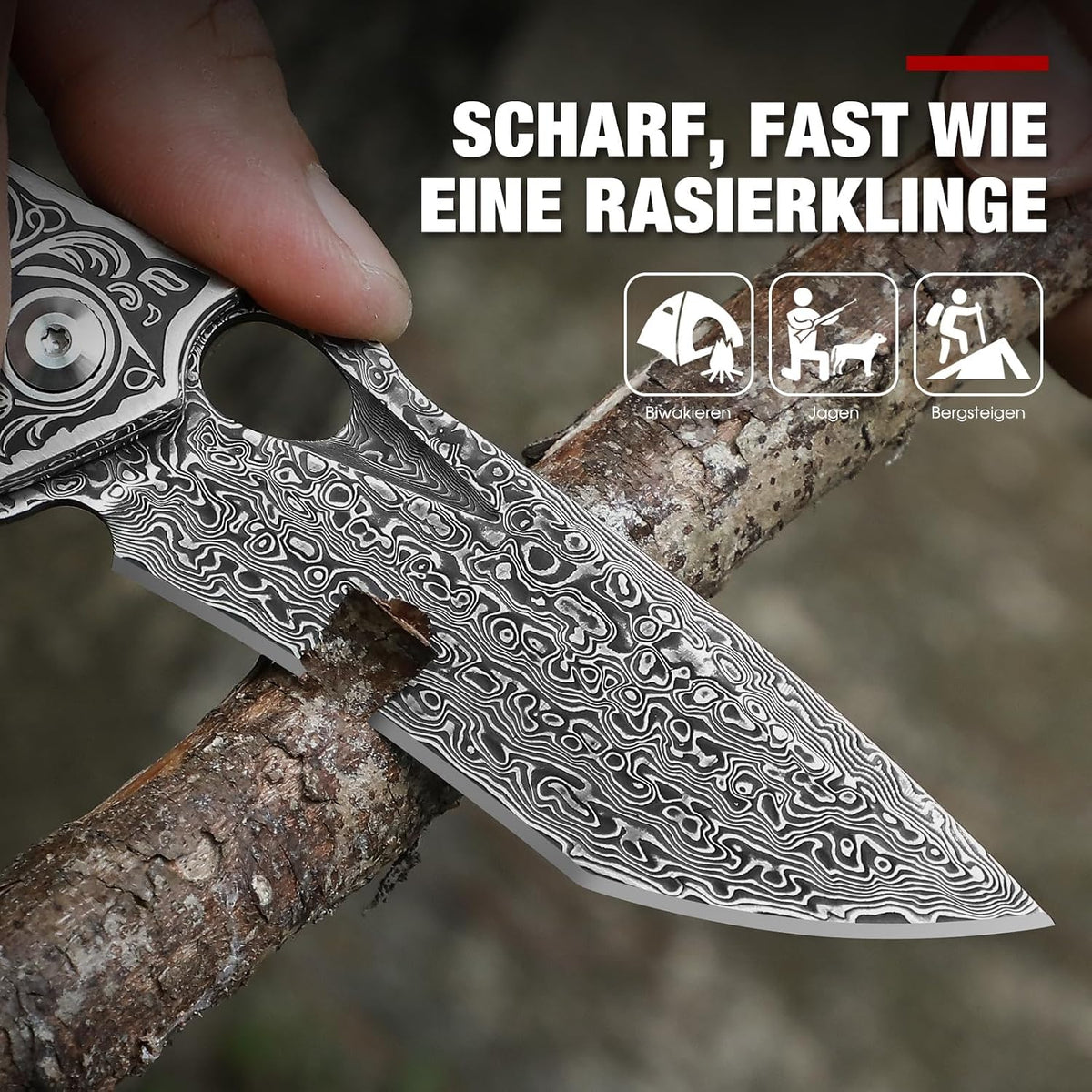 DRACHENADER Damascus Steel Folding Knife with Leather Sheath