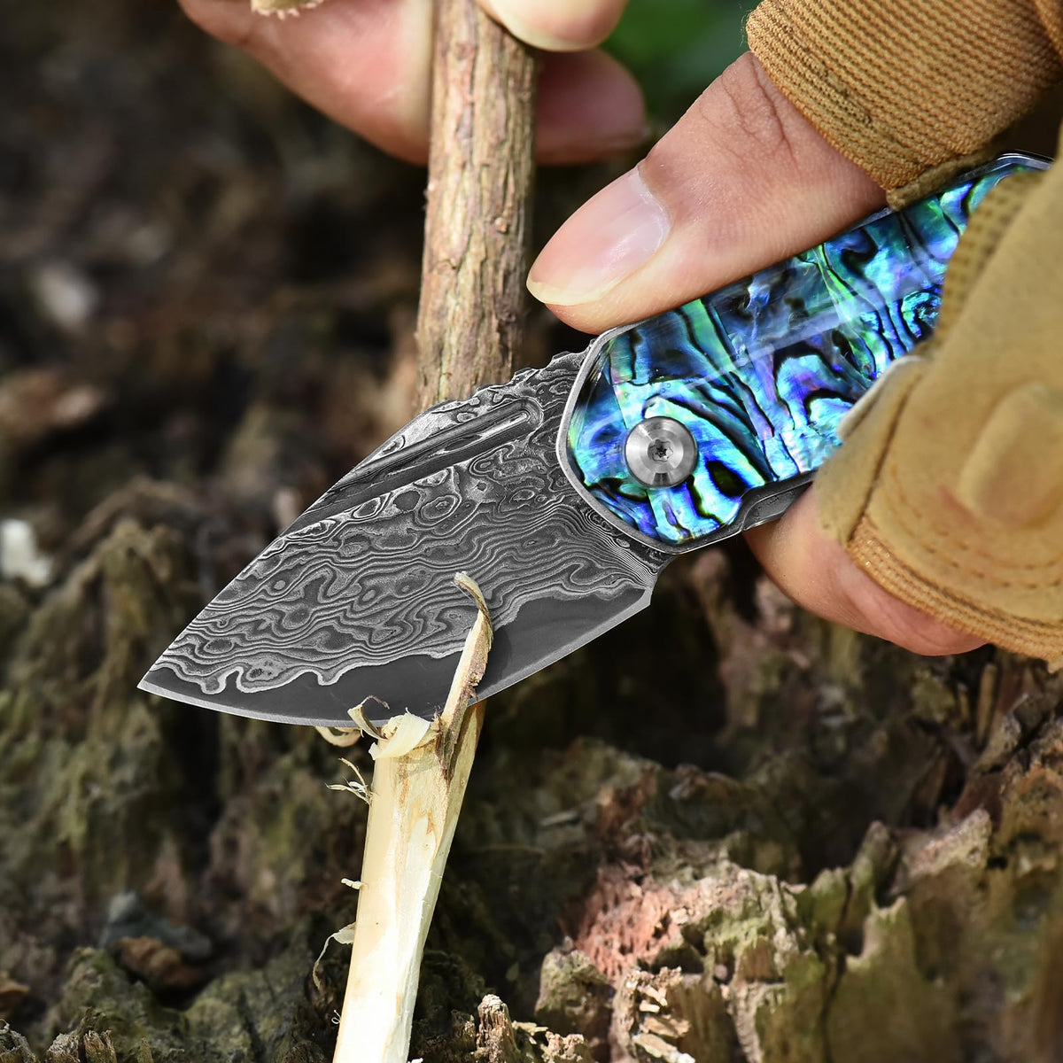 DRACHENADER Mini Damascus Folding Pocket Knife with Abalone Shell Handle Keychain