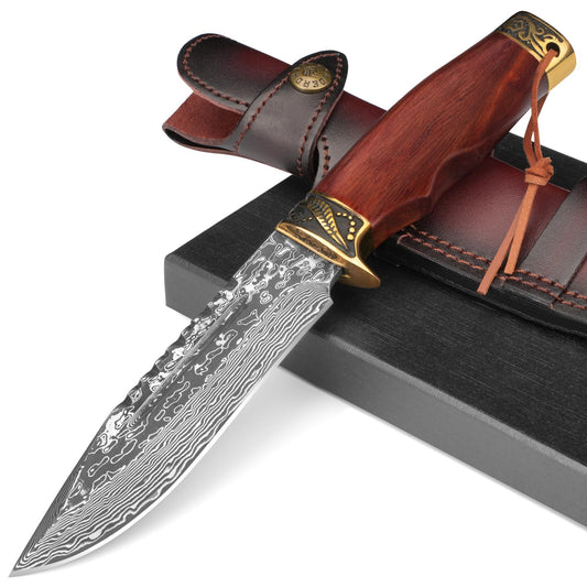 DRACHENADER 10.6" VG10 Damascus Fixed Blade Hunting Knife with Horizontal Leather Sheath
