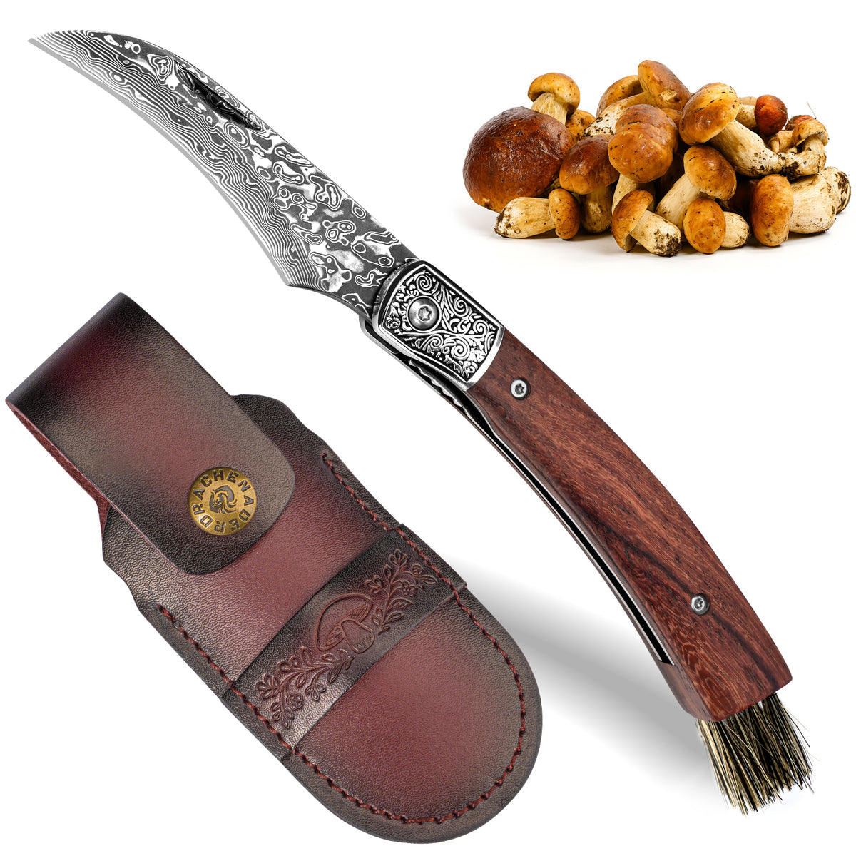 DRACHENADER Mushroom Knife with Brush,VG10 Damascus Steel Blade, Leather Sheath