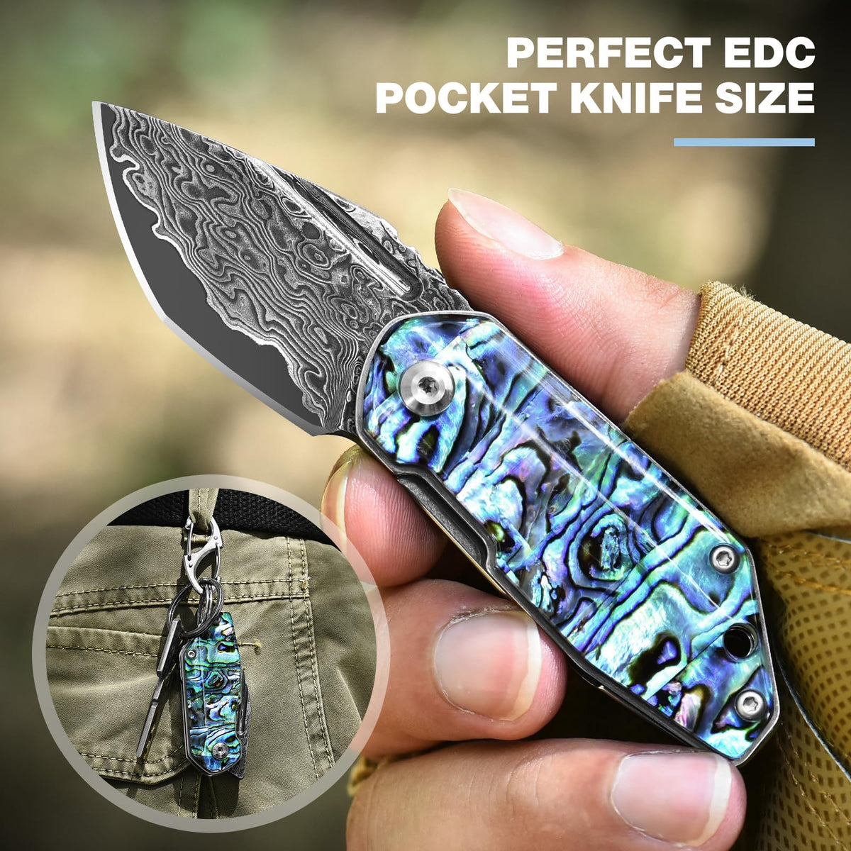 DRACHENADER Mini Damascus Folding Pocket Knife with Abalone Shell Handle Keychain