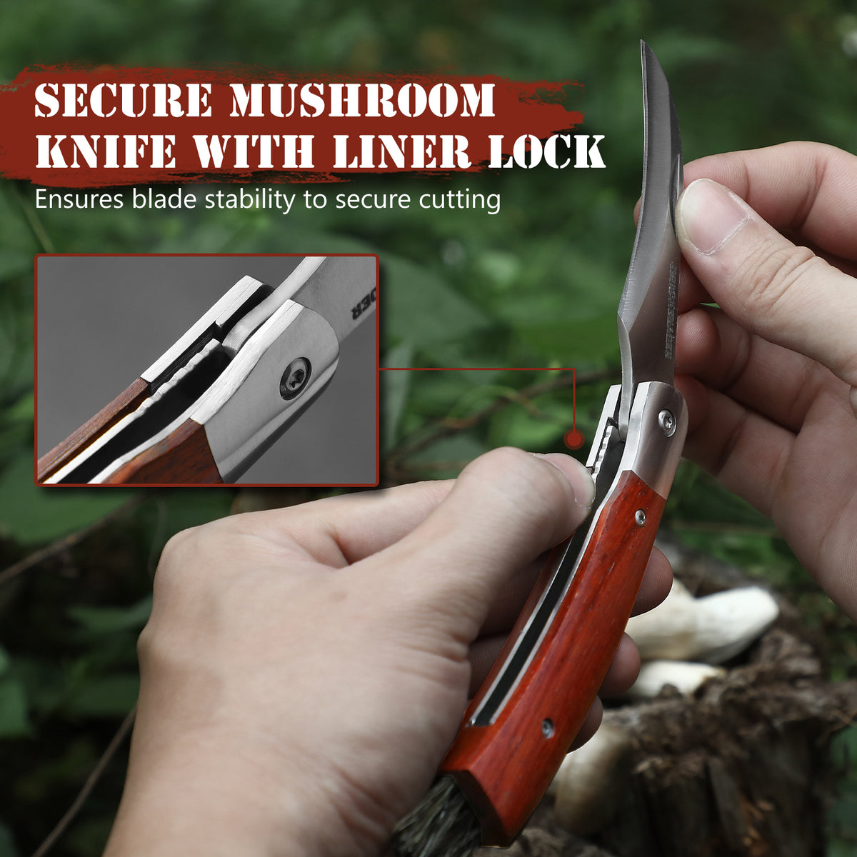 DRACHENADER Folding Mushroom Knife with Brush Leather Sheath Liner-Lock