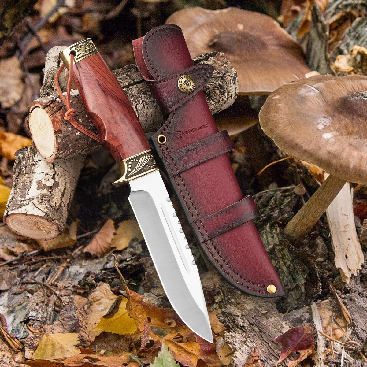 DRACHENADER 10.63" Fixed Blade Knife with Wood Handle and Leather Sheath