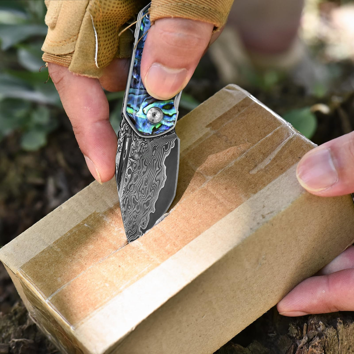 DRACHENADER Mini Damascus Folding Pocket Knife with Abalone Shell Handle Keychain
